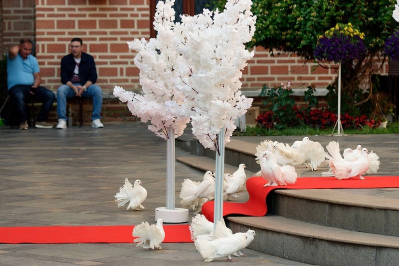 Red carpet events