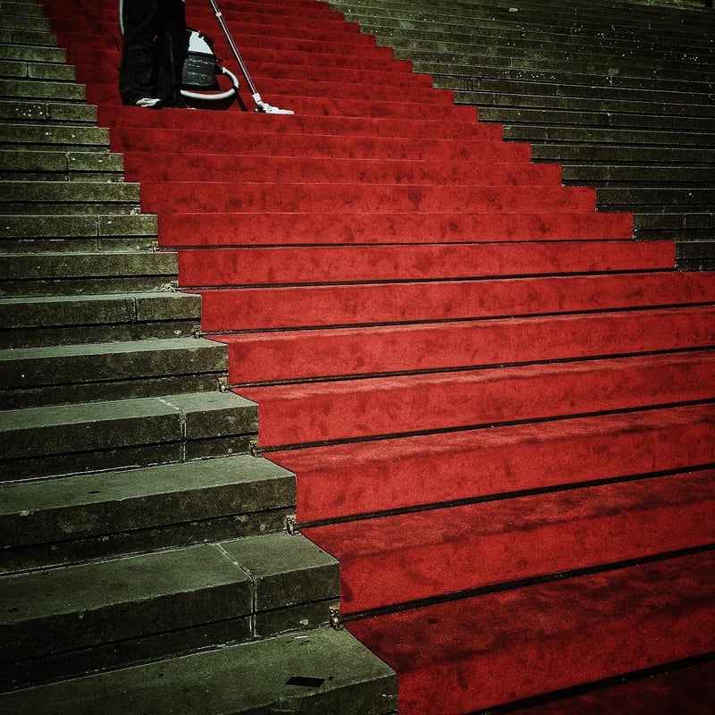 Celebrity on Red Carpet